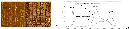 figure1