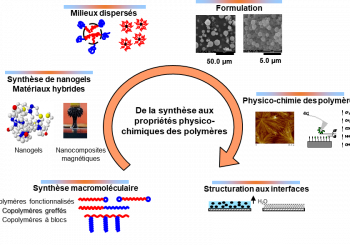 Chimie et physico-chimie des polymères – CPCP